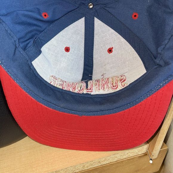 Vintage Sunflower Embroidered Snapback Hat Rare - Picture 11 of 12